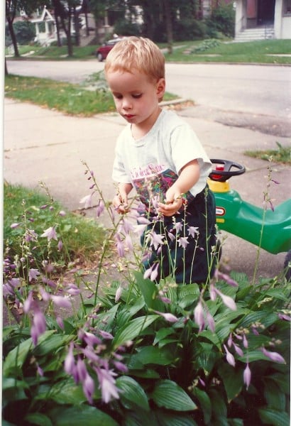 Harry & the 'purple popper' flowers, 1992